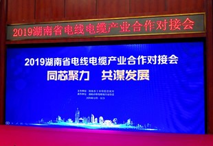 湖南省电线电缆产业合作对接会盛大召开