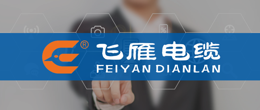 【飞雁电缆】湖南省大型工程认可的优质电缆品牌